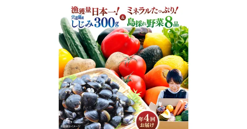 【ふるさと納税】【全4回定期便】島採れ野菜(8品目) と宍道湖産大和しじみのセット 島根県松江市/株式会社ふぁーむ大根島[ALCB002]