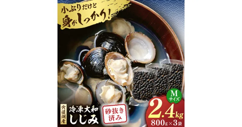 【ふるさと納税】宍道湖産 冷凍大和しじみ 砂抜き済 Mサイズ800g×3袋(2.4kg) 島根県松江市/しじみ市場株式会社[ALDK002]