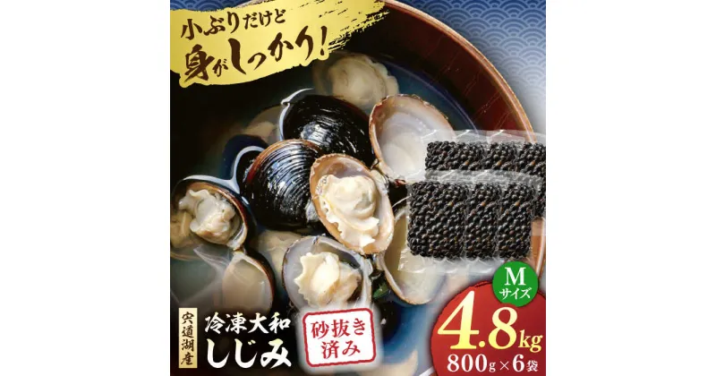 【ふるさと納税】宍道湖産 冷凍大和しじみ 砂抜き済 Mサイズ800g×6袋(4.8kg) 島根県松江市/しじみ市場株式会社[ALDK001]