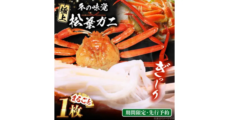 【ふるさと納税】【期間限定・先行予約】冬の味覚の代表格！松葉ガニ 1枚 島根県松江市/フジキコーポレーション株式会社[ALDS017]