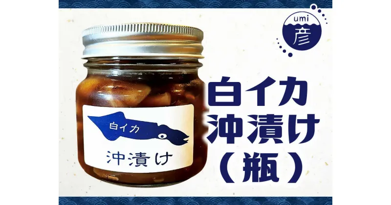 【ふるさと納税】白イカ(ケンサキイカ)の沖漬け240g×2個セット 島根県松江市/海ひこ株式会社[ALDY004]