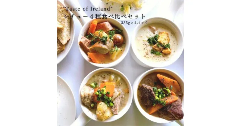 【ふるさと納税】「Taste of Irelandシチュー」4種食べ比べセット 島根県松江市/アーティストリー&アイ合同会社（巨人のシチューハウス）[ALEB004]