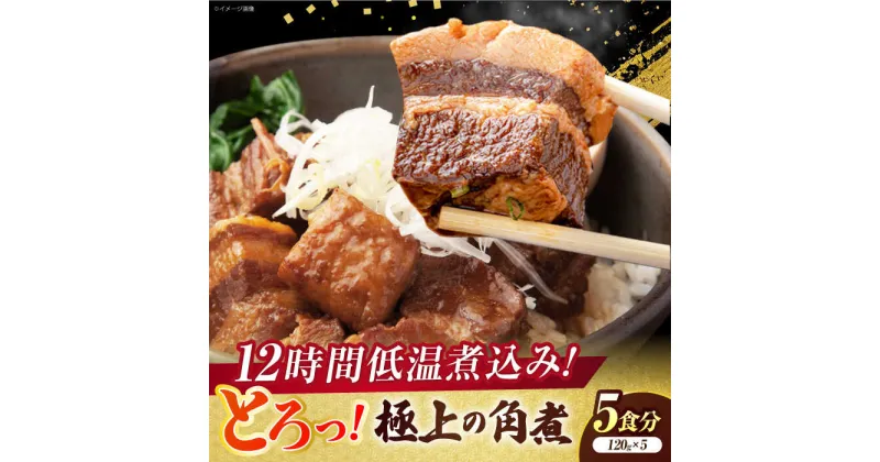 【ふるさと納税】食感よし！旨みよし！【豚の角煮セット(5食)】惣菜 おかず 豚バラ 小分け 島根県松江市/根っこや株式会社[ALEE001]