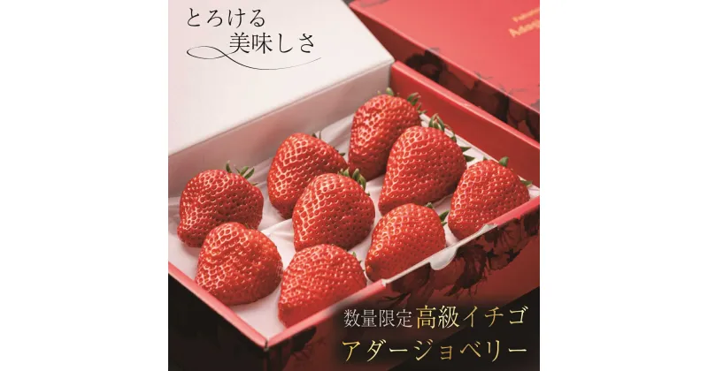 【ふるさと納税】アダージョベリー 9個入(400g) ギフトボックス入り 島根県松江市/株式会社ちいきおこし[ALBK008]