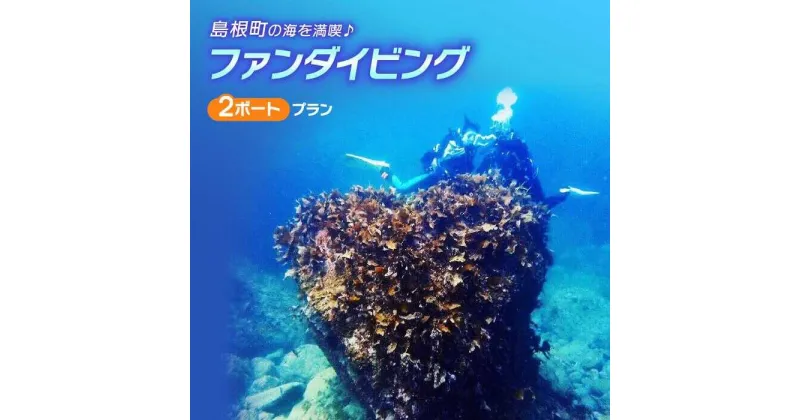 【ふるさと納税】島根町の海を満喫♪ファンダイビング(2ボート)プラン 島根県松江市/合同会社LOCOBLUE[ALFE002]