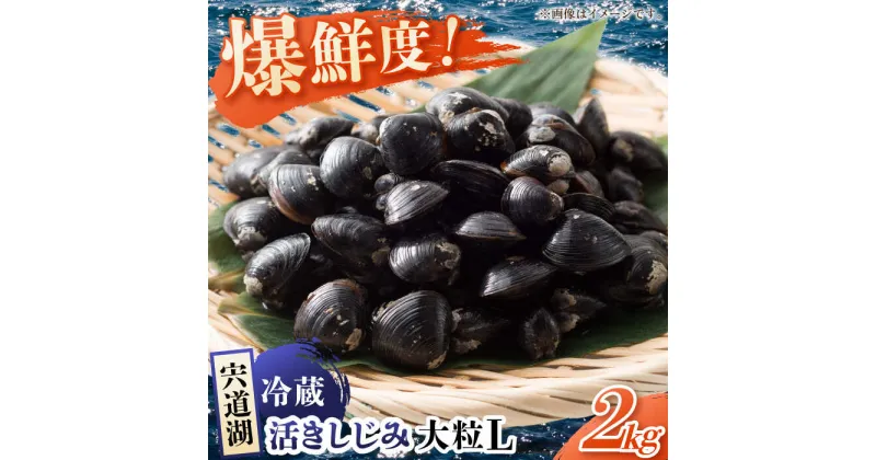 【ふるさと納税】鮮度抜群！宍道湖産しじみLサイズ2kg(生鮮・砂抜済・活しじみ) 松江自慢のしじみです！ 島根県松江市/有限会社藤本米穀店[ALCG008]