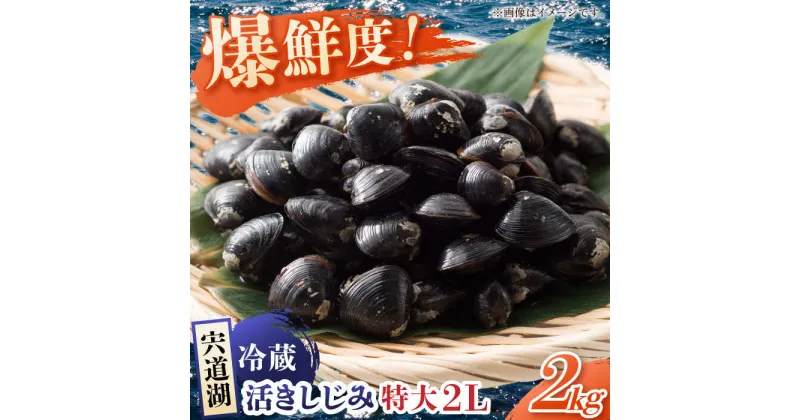 【ふるさと納税】鮮度抜群の貴重な特大粒！宍道湖産しじみ2Lサイズ2kg(生鮮・砂抜済・活しじみ) 島根県松江市/有限会社藤本米穀店[ALCG009]