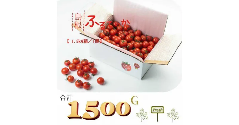 【ふるさと納税】島根県産 海辺のトマトバラ「フルティカ」 1.5kg【11～3月限定】 島根県松江市/株式会社さんちゃんファーム[ALAX002]