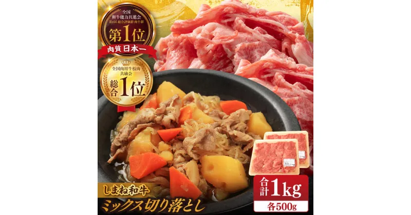 【ふるさと納税】【ブランド牛・しまね和牛】ミックス切り落とし 500g×2パック 生姜焼き・肉じゃが用 島根県松江市/Do corporation株式会社（しまね和牛）[ALFU013]