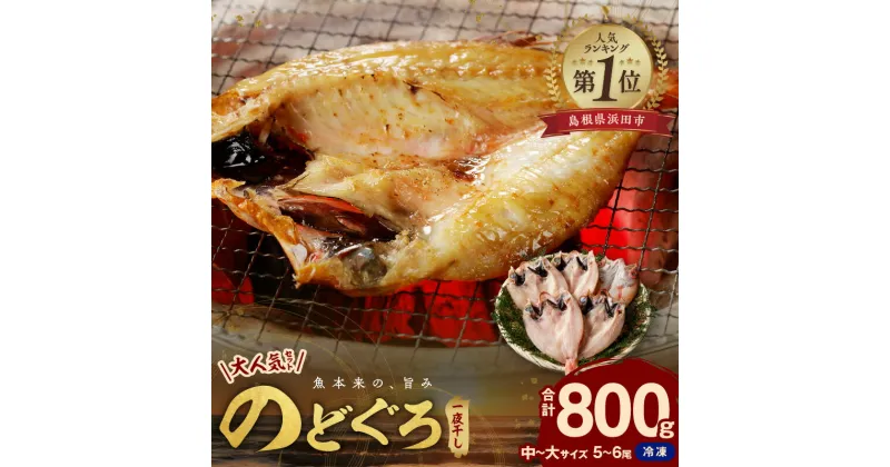 【ふるさと納税】【 産地直送 肉厚ジューシーな のどぐろ！】 のどぐろ専門店シーライフ のどぐろ一夜干し5～6枚で計800g「大人気セット」 干物 一夜干し セット 詰め合わせ のどぐろ 贈り物 贈答 ギフト 【8】