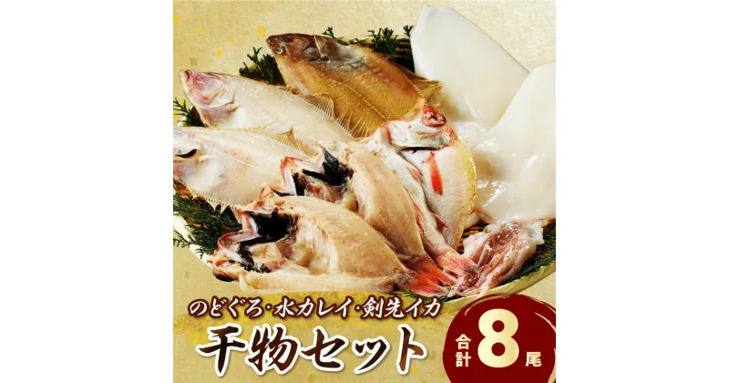 【ふるさと納税】 のどぐろ・水カレイ・白イカ干物セット 魚介 魚 セット 加工品 干物 のどぐろ 水カレイ イカ 魚介類 魚貝類 干物 干もの 一夜干し お祝い 【14】