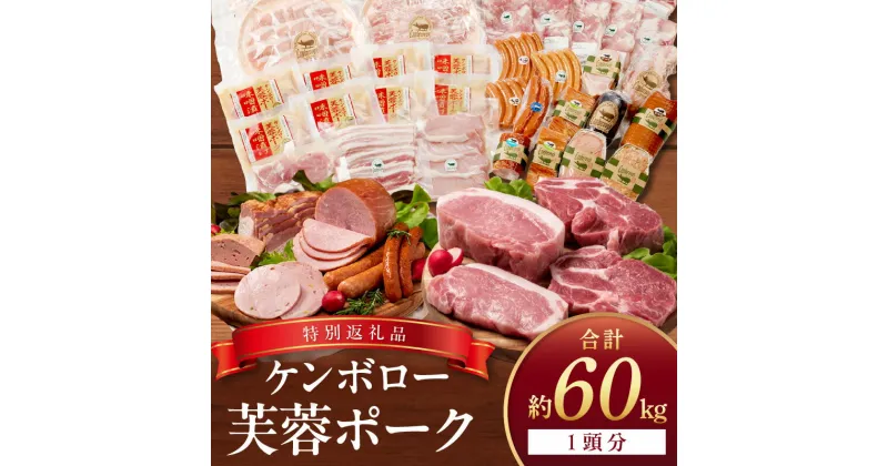 【ふるさと納税】 ケンボロー芙蓉ポーク1頭分【特別商品】 肉 豚肉 豚 1頭 60kg ロース 肩ロース バラ ヒレ モモ肉 ミンチ ブランド豚 ハム ソーセージ 【1】