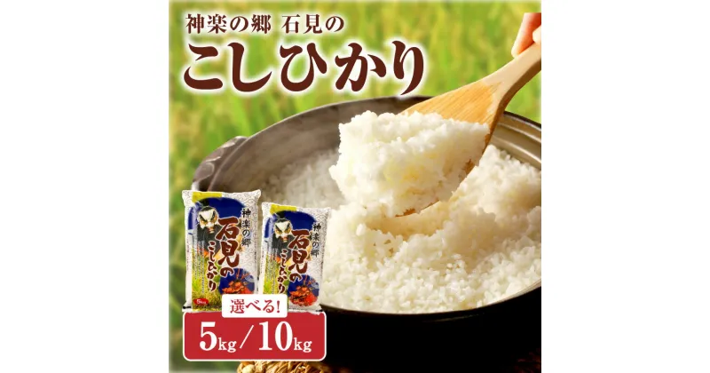 【ふるさと納税】【令和6年産】神楽の郷 石見のこしひかり 【5kg 10kg】＞ 選べる 内容量 こしひかり お取り寄せ 特産品 島根 県産 精米 玄米 新生活 応援 準備