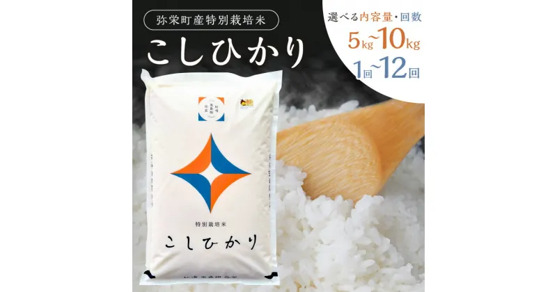 【ふるさと納税】【令和6年産】弥栄町産特別栽培米「秘境奥島根弥栄」こしひかり【5kg～10kg/1回～12回】 選べる 定期便 米 お米 精米 白米 ごはん コシヒカリ 特別栽培米 お取り寄せ 特産 新生活 応援 準備