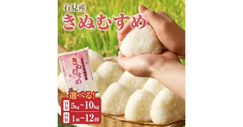 【ふるさと納税】【令和6年産】石見産「きぬむすめ」 【5kg～10kg/1回～12回】 選べる 定期便 米 お米 きぬむすめ 精米 白米 ごはん 新生活 応援 準備 お取り寄せ 特産