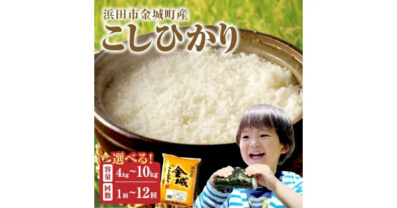 【ふるさと納税】【令和6年産】浜田市金城町産「こしひかり」【5kg～10kg/1回～12回】 選べる 定期便 こしひかり お取り寄せ 特産 お米 精米 白米 ごはん ご飯 コメ 新生活 応援 準備