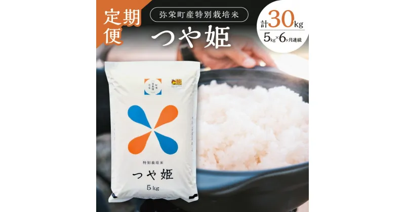 【ふるさと納税】【令和6年産】【定期便】弥栄町産特別栽培米「秘境奥島根弥栄」つや姫5kg（6回コース） 米 お米 特別栽培米 つや姫 精米 白米 ごはん 定期便 定期 6回 お取り寄せ 特産 新生活 応援 準備 【735】