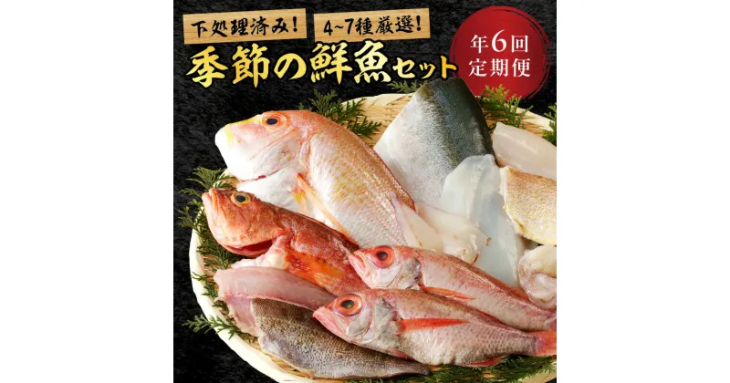 【ふるさと納税】【定期便】季節の鮮魚セット年6回コース 定期便 6回 鮮魚 お任せ お取り寄せ 魚介 鮮魚 セット 下処理済み 【744】