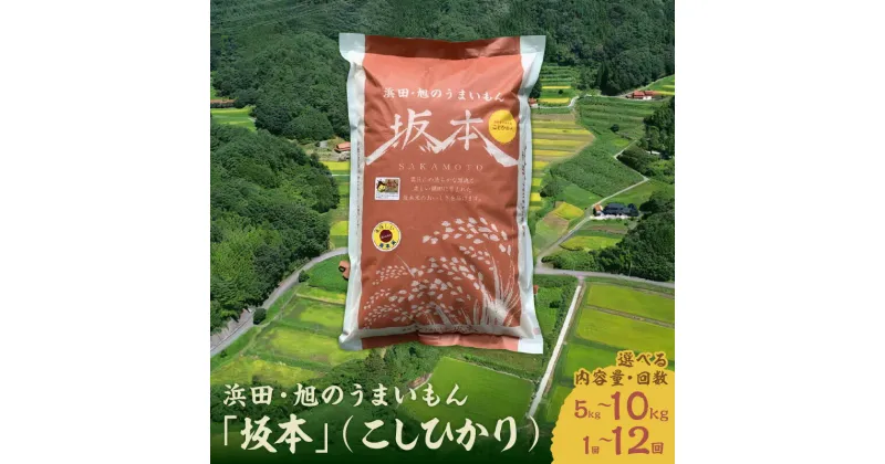 【ふるさと納税】【令和6年産】浜田・旭のうまいもん「坂本」（こしひかり）【5kg 10kg/1回～12回】選べる定期便 米 お米 精米 白米 ごはん お取り寄せ 特産 新生活 応援 準備