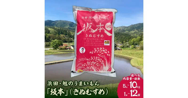 【ふるさと納税】【令和6年産】【新米先行予約】浜田・旭のうまいもん「坂本」（きぬむすめ）【5kg 10kg/1回～12回】＜10月21日から発送＞ 選べる 定期便 米 お米 きぬむすめ 精米 白米 ごはん 新生活 応援 準備 お取り寄せ 特産