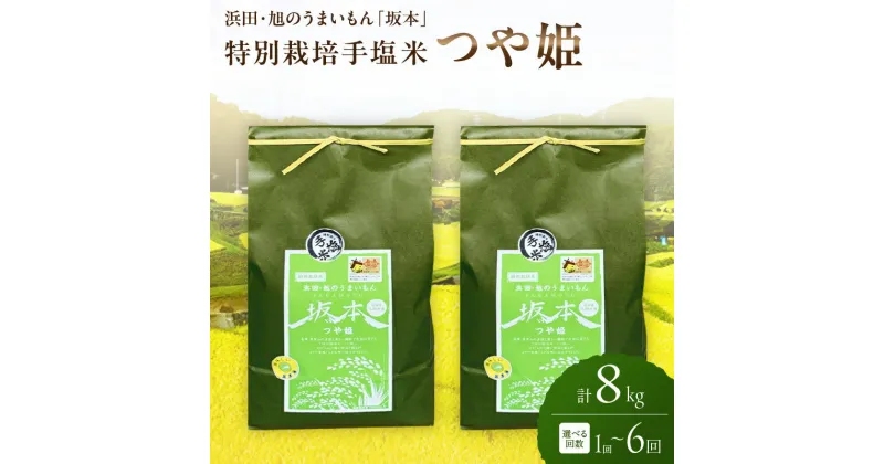 【ふるさと納税】 【令和6年産】浜田・旭のうまいもん「坂本」特別栽培手塩米つや姫 【4kg×2袋 /1回～6回】選べる 定期便 8kg 特別栽培 手塩米つや姫 米 お米 つや姫 特別栽培米 精米 白米 ごはん