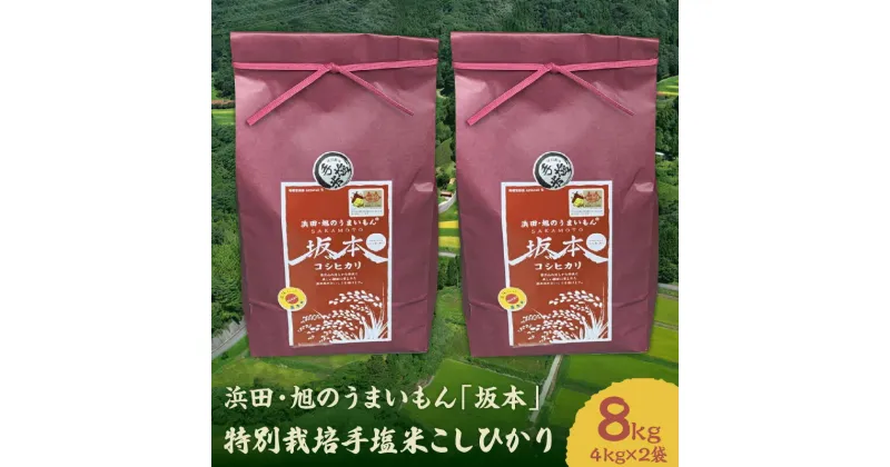 【ふるさと納税】【令和6年産】浜田・旭のうまいもん「坂本」特別栽培手塩米こしひかり4kg×2袋 米 お米 こしひかり 特別栽培米 精米 白米 ごはん お取り寄せ 特産 新生活 応援 準備 【1035】