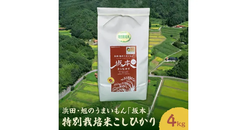 【ふるさと納税】【令和6年産】浜田・旭のうまいもん「坂本」特別栽培米こしひかり 4kg 米 お米 こしひかり 特別栽培米 4キロ 精米 白米 ごはん 新生活 応援 準備 お取り寄せ 特産 【1019】