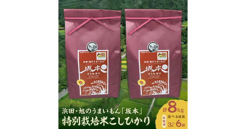 【ふるさと納税】【定期便】【令和6年産】浜田・旭のうまいもん「坂本」特別栽培手塩米こしひかり【8kg/3回 6回】選べる 定期便 米 お米 こしひかり 特別栽培米 定期 精米 白米 ごはん 新生活 応援 準備 特産