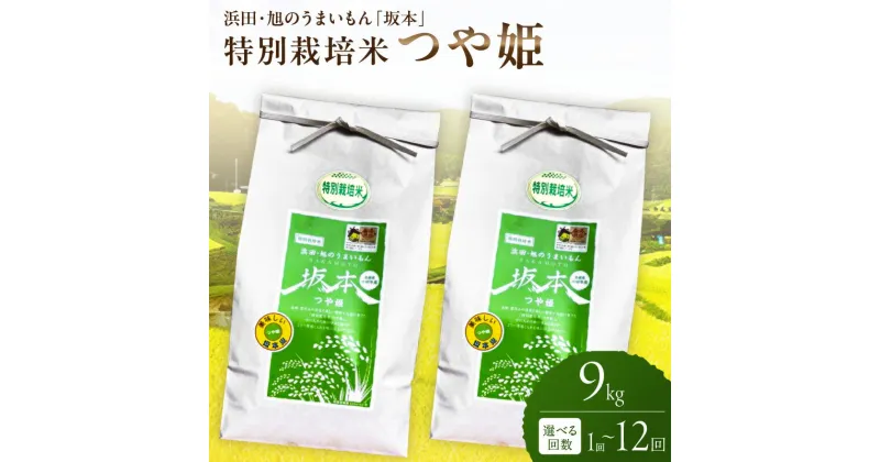 【ふるさと納税】 【令和6年産】浜田・旭のうまいもん「坂本」特別栽培米つや姫 【4.5kg×2袋/1回～12回】 選べる 定期便 特別栽培米つや姫 米 お米 つや姫 特別栽培米 精米 白米 ごはん