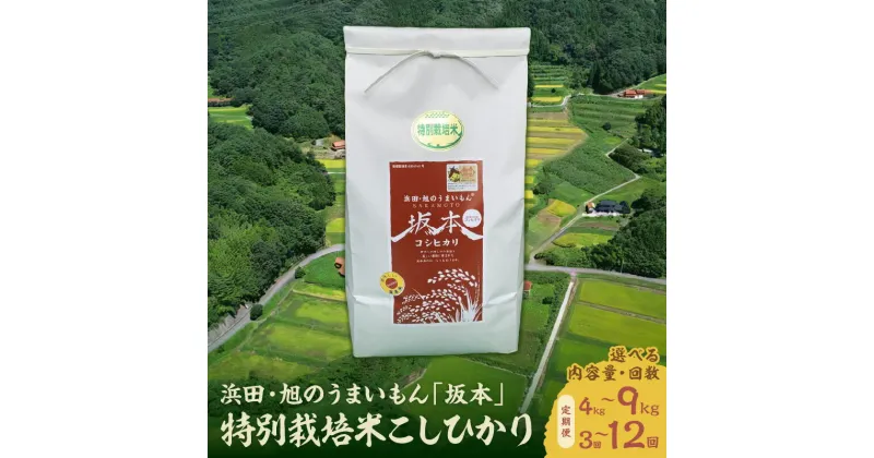 【ふるさと納税】【定期便】【令和6年産】浜田・旭のうまいもん「坂本」特別栽培米こしひかり 【4kg 9kg/3回～12回】 選べる 定期便 米 お米 こしひかり 特別栽培米 精米 白米 ごはん 新生活 応援 準備 お取り寄せ 特産