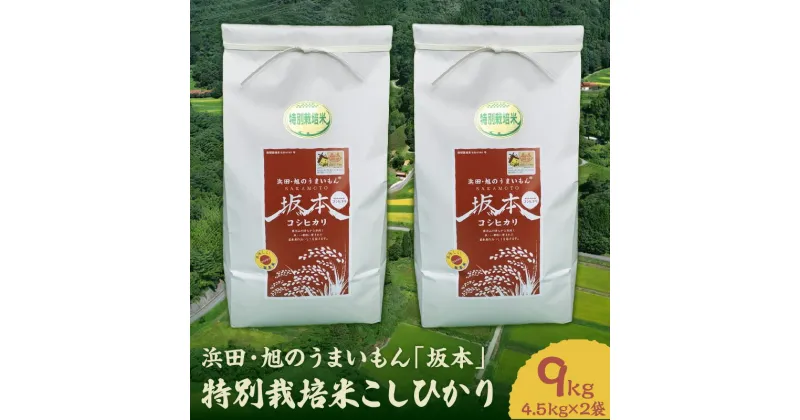 【ふるさと納税】【令和6年産】【新米先行予約】浜田・旭のうまいもん「坂本」特別栽培米こしひかり 4.5kg×2袋 米 お米 こしひかり 特別栽培米 精米 白米 ごはん 新生活 応援 準備 【1023】