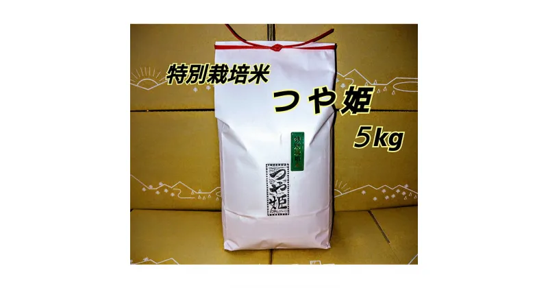 【ふるさと納税】【令和6年産】浜田市金城町産　農家直送特別栽培米　つや姫　5kg ＜9月下旬以降の発送予定＞ 米 お米 特別栽培米 精米 白米 ごはん 新生活 応援 準備 お取り寄せ 特産 おぐに米 5キロ 【1224】