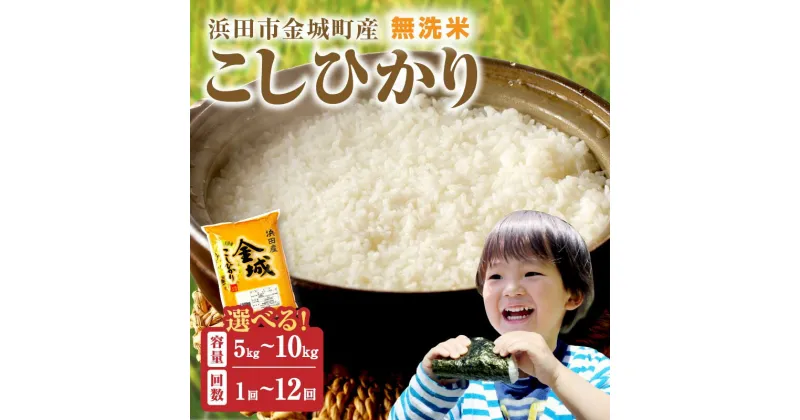 【ふるさと納税】【令和6年産】無洗米 浜田市金城町産こしひかり 【5kg 6kg 10kg/6回 12回】 選べる 定期便 米 こしひかり お米 新生活応援 お中元 お取り寄せ 特産 ごはん ご飯 コメ 新生活 応援 準備