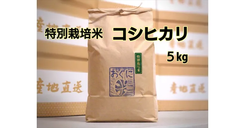 【ふるさと納税】【令和6年産】浜田市金城町産　農家直送特別栽培米　コシヒカリ　5kg ＜10月下旬以降の発送予定＞ 米 お米 精米 白米 ごはん おぐに 新生活 応援 準備 5キロ 特別栽培米 農家直送 【1250】