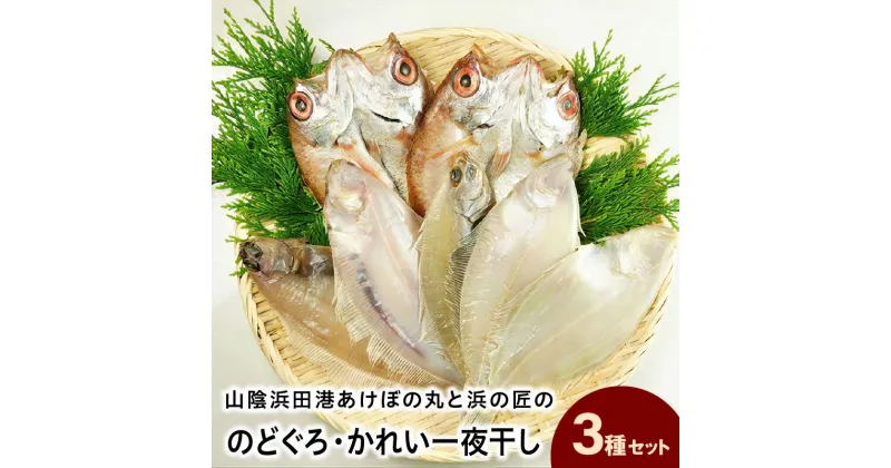 【ふるさと納税】山陰浜田港あけぼの丸と浜の匠ののどぐろ・かれい一夜干しセット 魚介類 魚貝類 魚 干物 干もの 一夜干し 干物セット のどぐろ カレイ セット 詰め合わせ 【1492】