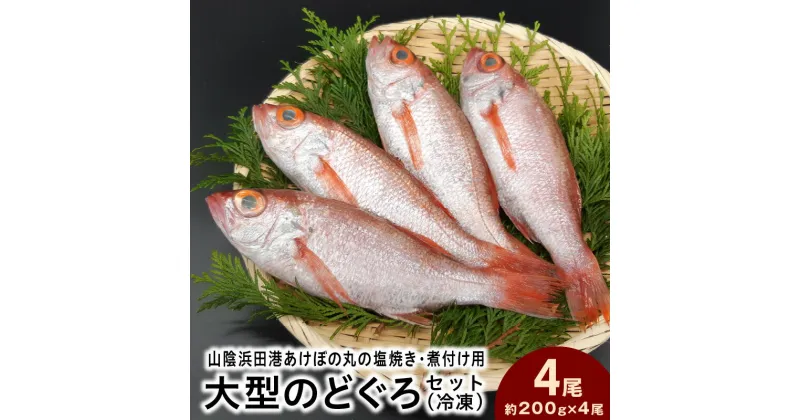 【ふるさと納税】山陰浜田港あけぼの丸の塩焼き・煮付け用大型のどぐろセット（冷凍） 【1495】