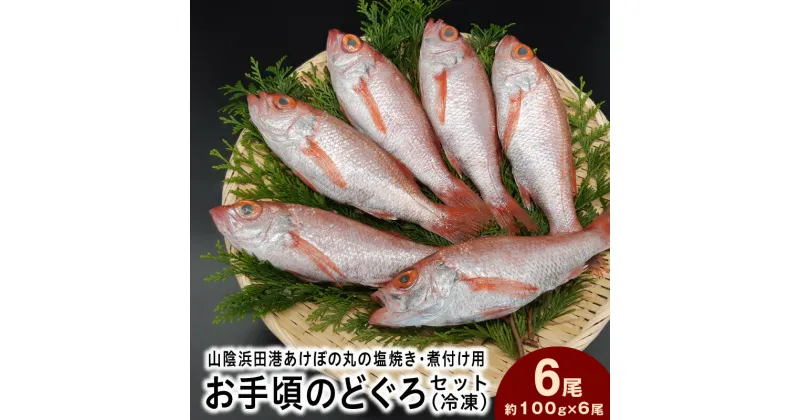 【ふるさと納税】山陰浜田港あけぼの丸の塩焼き・煮付け用お手頃のどぐろセット（冷凍） 魚介類 魚貝類 のどぐろ 塩焼き 煮付 内臓処理済み 【1496】