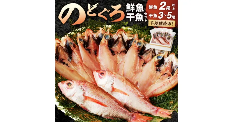 【ふるさと納税】のどぐろの鮮魚と干魚のコラボセット 魚介類 魚介 魚 のどぐろ 干物 鮮魚 一夜干し お刺身 セット ふるさと納税 のどくろ 【1518】