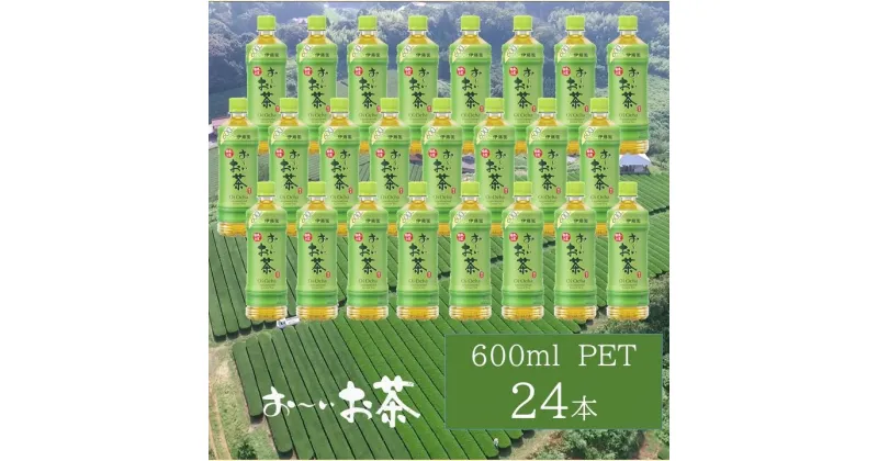 【ふるさと納税】お～いお茶 緑茶PET 600ml 24本入り×1ケース 伊藤園 ドリンク 飲料 セット ペットボトル お茶 グリーンティー ストック 備蓄 新生活 応援 準備 【1638】