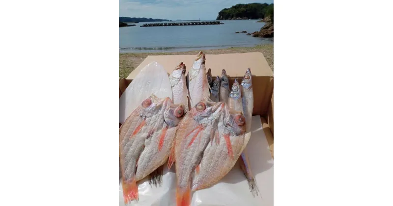 【ふるさと納税】しまね浜田の美味しい のどぐろ カレイ 白イカ 沖キス 一夜干しセット 魚介類 魚貝類 魚 干物 一夜干し セット 詰め合わせ 【1706】