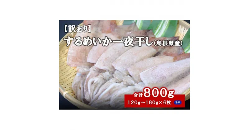 【ふるさと納税】【訳あり】 するめいか一夜干し（120g〜180gx6枚） 魚介類 いか するめいか 一夜干し 加工品 おつまみ 訳あり ふるさと納税 するめいか 【1837】