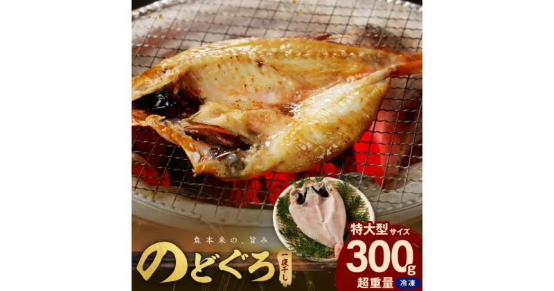 【ふるさと納税】のどぐろ一夜干し無添加個包装1枚　「超希少サイズ・特大型300g超重量」 産地直送 干物 魚 一夜干し 人気 大きい 天然 ボリューム ノドグロ 【1929】