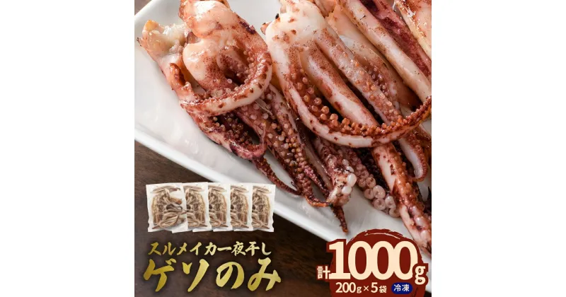 【ふるさと納税】【訳あり】スルメイカ一夜干し”ゲソのみ”　計1kg（200gx5袋） 産地直送 干物 国産 人気 大容量 小分け 訳あり 焼き 揚げ物 塩味付 いか ゲソ おつまみ ふるさと納税 一夜干し 【1973】