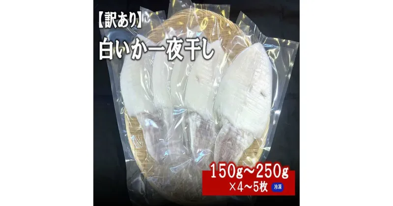 【ふるさと納税】【訳アリ】白いか一夜干し　（150g〜250gx4〜5枚） 訳アリ 小分け いか 白いか 個包装 一夜干し 産地直送 ふるさと納税 おつまみ【1962】