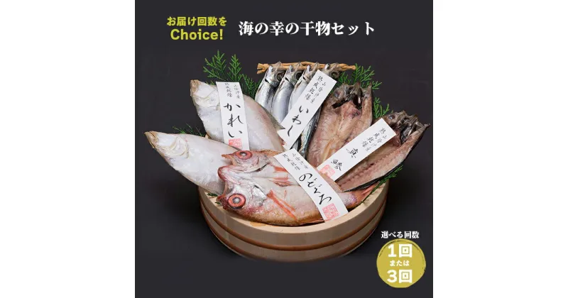 【ふるさと納税】【緊急支援品】海の幸 干物 セット B 単発 3ヵ月 定期便 のどぐろ 真鯵 カレイ うるめイワシ 詰め合わせ ギフト魚 さかな 魚介 魚介類