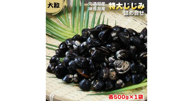 【ふるさと納税】厳選特大しじみ詰め合わせ 1kg (500g×2袋) 食べ比べ 宍道湖 神西湖 小分け 砂抜き済 貝 詰め合わせ お取り寄せ グルメ kai cai 栄養 料理 調理 レシピ 蜆 島根県 出雲市