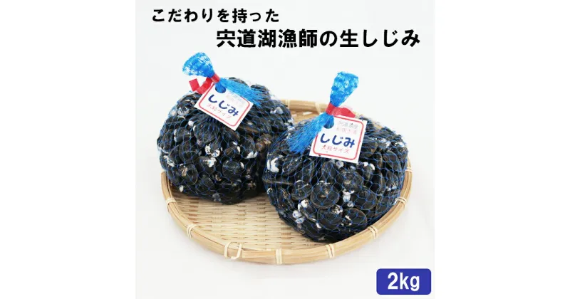 【ふるさと納税】こだわりを持った宍道湖漁師の生しじみ 2kg 冷蔵 貝 詰め合わせ お取り寄せ グルメ kai cai 栄養 料理 調理 レシピ 蜆 島根県 出雲市