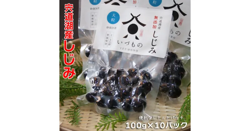 【ふるさと納税】宍道湖 しじみ 大粒 1kg ( 100g × 10パック ) | 常温 日持ち 小分け 個包装 蜆 貝 kai cai 調理 料理 味噌汁 みそ汁 お取り寄せ グルメ 人気 おすすめ 島根県 出雲市