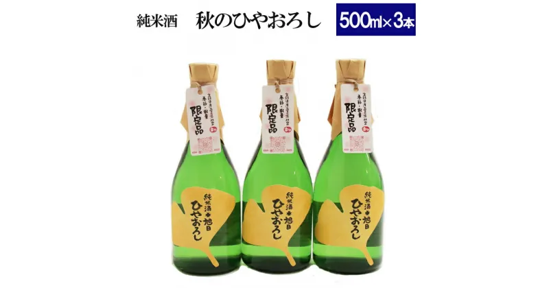 【ふるさと納税】十旭日 秋のひやおろし セット 500ml×3本| おすすめ 酒 お酒 さけ sake 純米酒 五百万石 期間限定