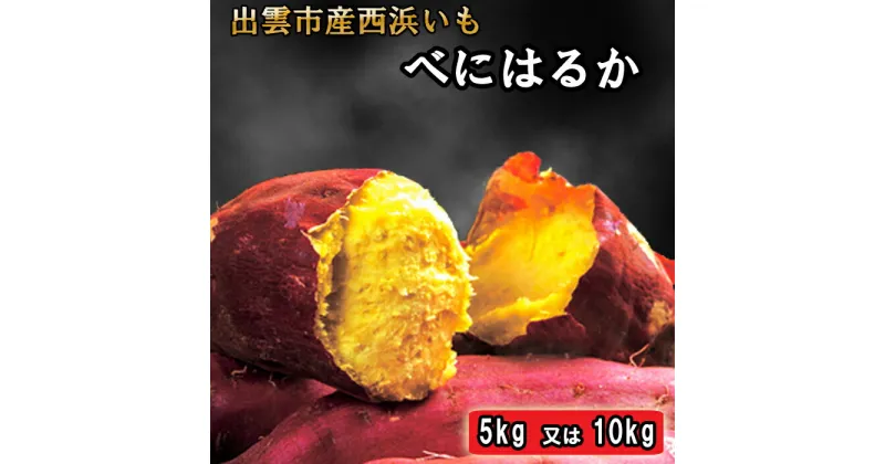 【ふるさと納税】西浜いも（べにはるか）5kg 10kg べにはるか さつまいも さつま芋 芋 いも 島根県 出雲市